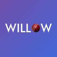 Willow  logo