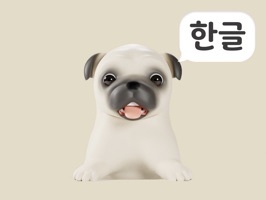 귀염둥이 퍼그 노을이