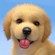My Dog:Pet Dog Game Simulator