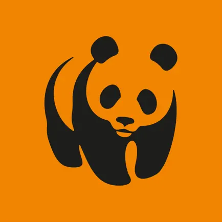 WWF Jugend Читы