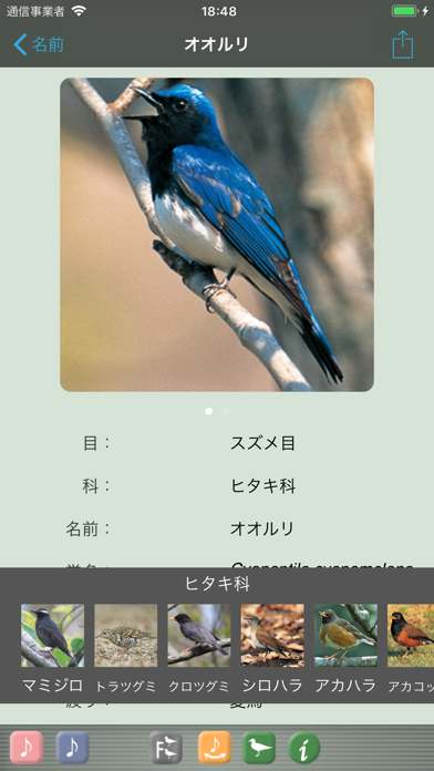 野鳥の鳴き声図鑑 ScreenShot0