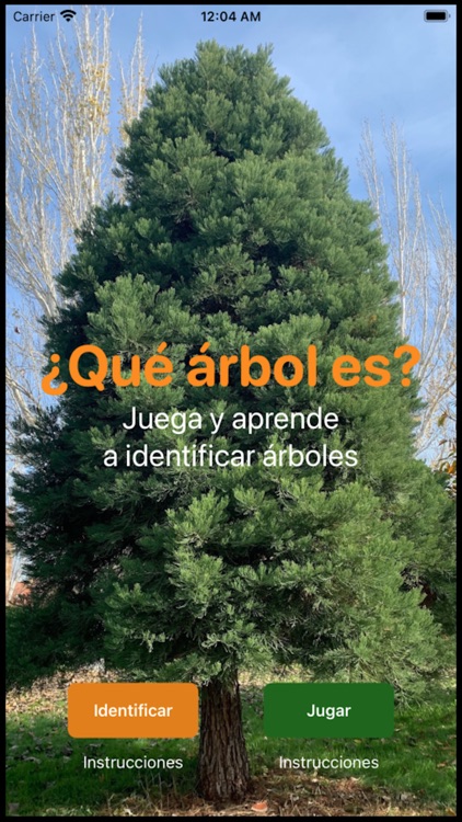 Que Arbol Es