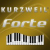 Forte Sound Editor