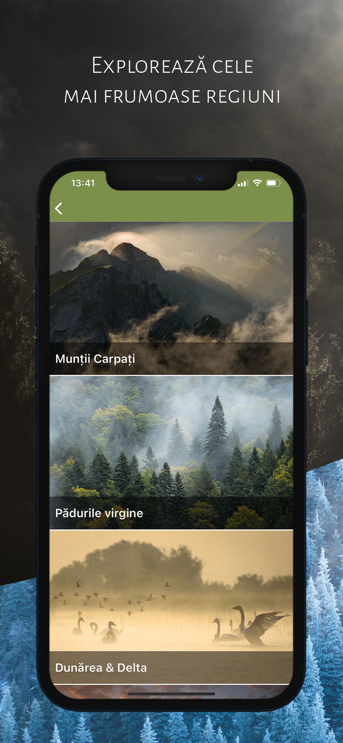 România Sălbatică