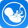 Meine Schwangerschafts-App