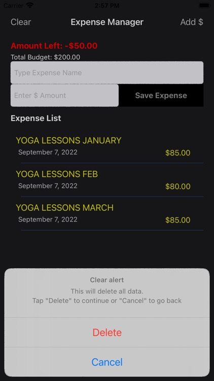 XpensList: Easy Expense List screenshot-4