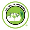 Thinwhales International