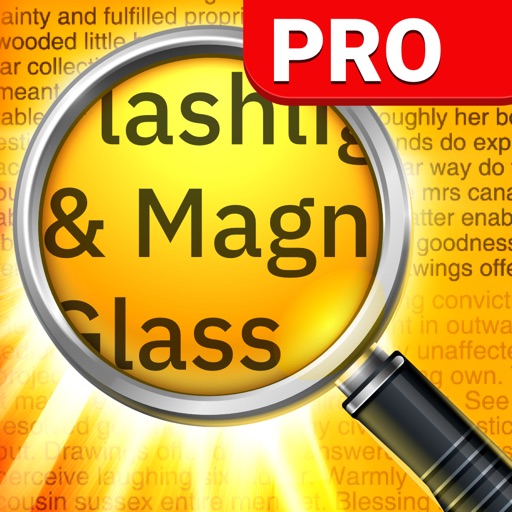 Magnifying Glass Pro (Torch) Icon