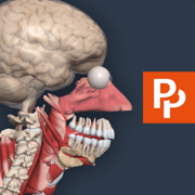 Primal's 3D Anatomy Quiz