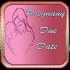 Pregnancy Due Date Guide