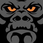 Gorilla Fleet Intelligence