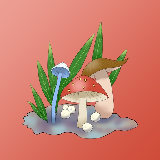 Wetland Mushroom