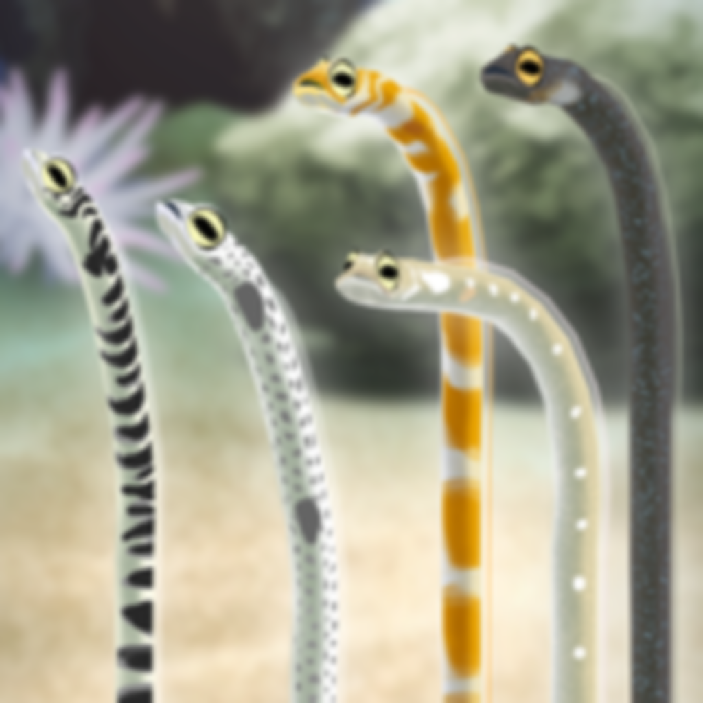 Get Garden Eel Pet for iOS, iPhone, iPad Aso Report