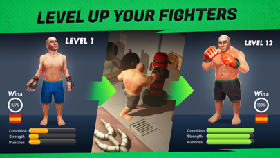 MMA Manager 2: Ultimate Fight screenshot 2