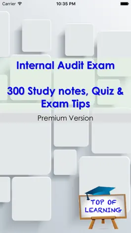 Game screenshot Internal Audit Exam Part1 hack