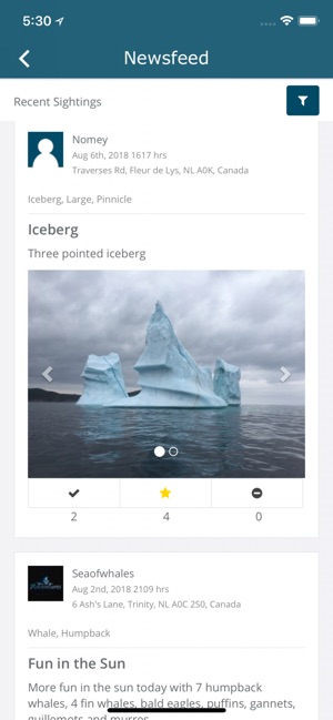 Iceberg Alley - Sightings(圖3)-速報App