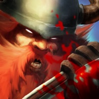 Runic Rampage pour PC