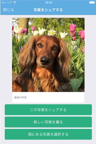 Pawshake - Dog & Pet Sitter screenshot 4