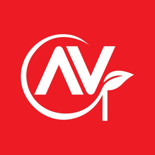 AV Group