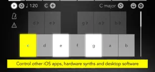 Screenshot 6 Navichord Lite chord sequencer iphone