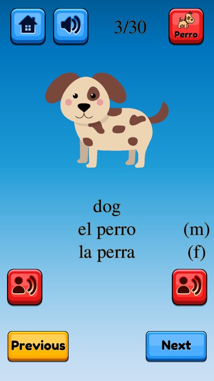 Fun Spanish Flashcards