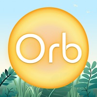 Orb: Mind-Body Tracker Reviews
