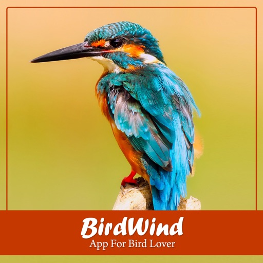 BirdWind: App for Bird Lovers