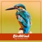 BirdWind Provides amazing Food Recipes for Birds which includes Homemade Bird Food , Bird Bread , Big Bird Salad and more