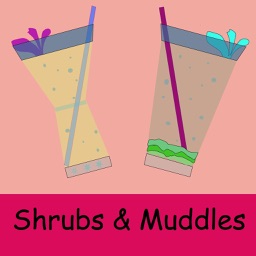 Shrubs & Muddles Fruit Drinks