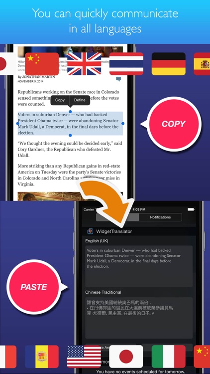 Widget Translator Pro
