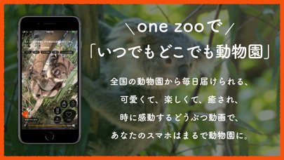 one zoo screenshot1