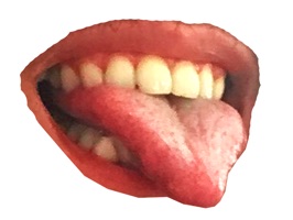 Fun Mouth