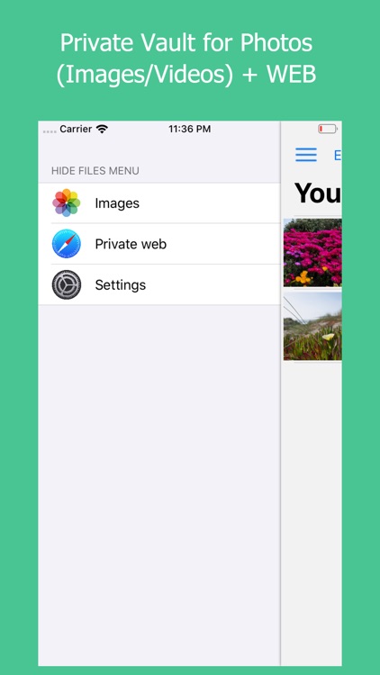 Vault- Hide Photos, Video, Web