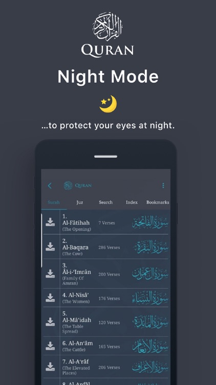 The Holy Quran - English screenshot-8