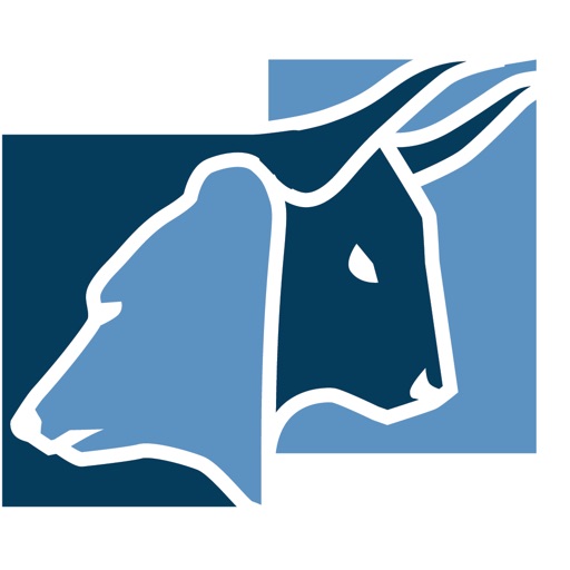 NPInvestor/Straticator