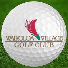 Activities of Waikoloa Village Golf Club