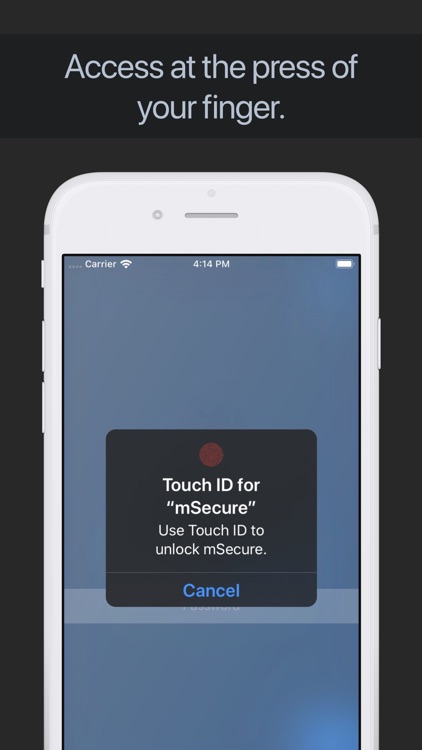 Password Manager - mSecure screenshot-5
