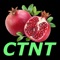 Choose This not That for Osteoarthritis