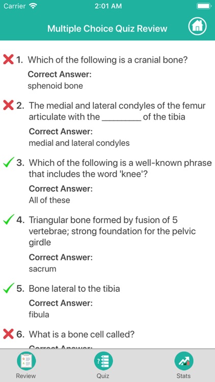 Anatomy - Skeletal System