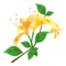 SANIHE-is a beautiful honeysuckle iMessage sticker, with fresh and refined colors, which is very favorite, download it and send it to your friends