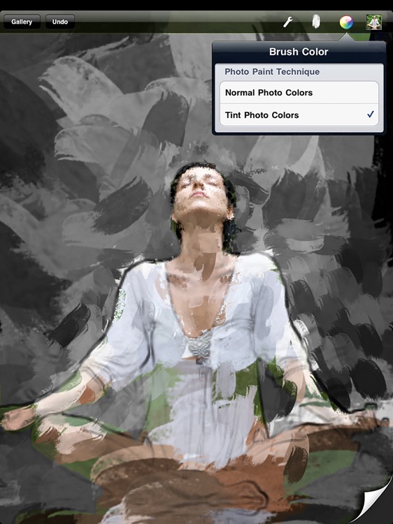 Artist's Touch for iPad screenshot-4