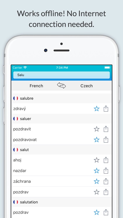 French Czech Dictionary +