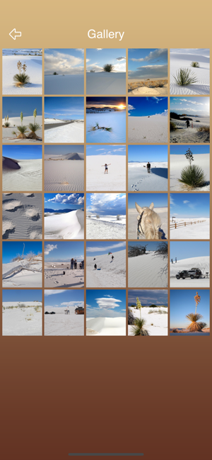 Visit White Sands(圖4)-速報App