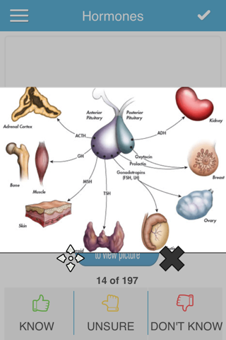 USMLE Bio/Physio Cram Cards - náhled