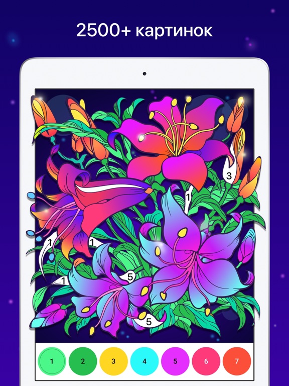 Chamy - Раскраска по номерам для iPad