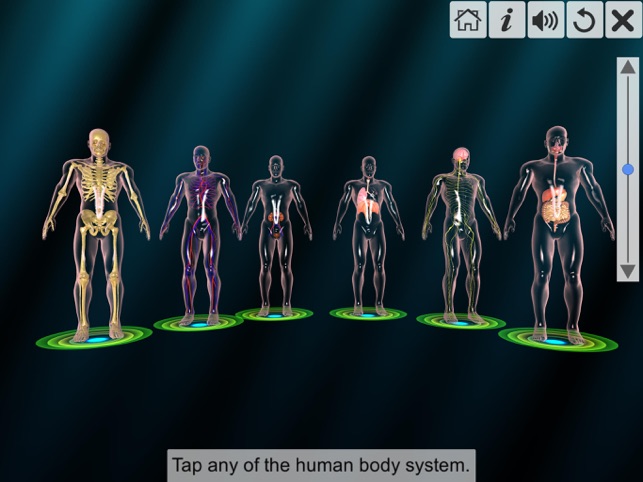 human body system wallpaper
