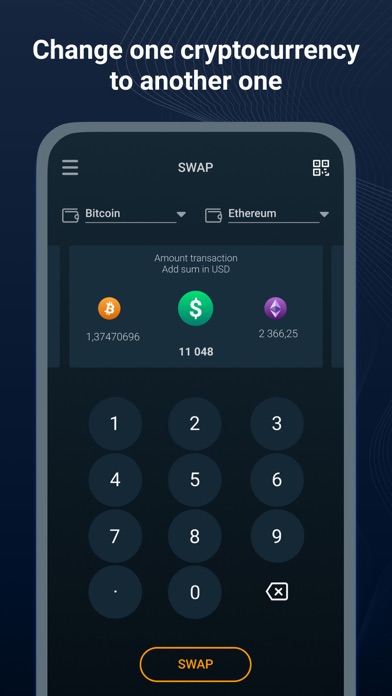 Online Wallet screenshot 4