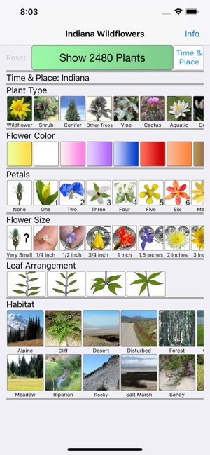 Indiana Wildflowers(圖1)-速報App