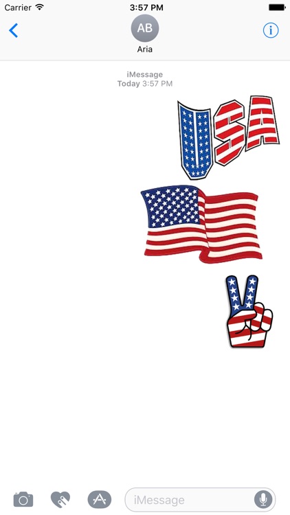 I Love The American Flag Icon