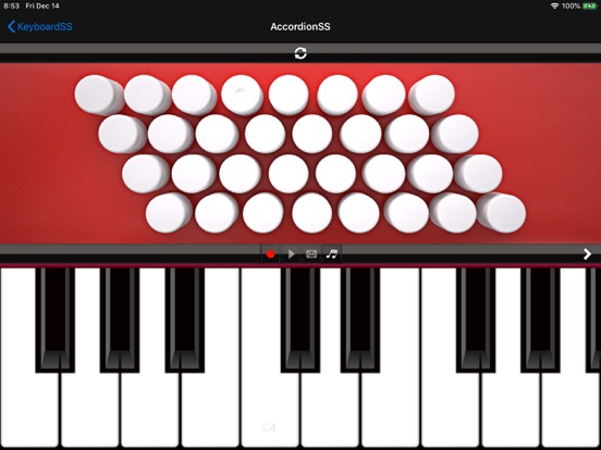 Keyboard instrumentSS IA screenshot 4